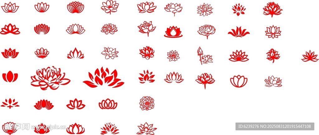 荷花線條