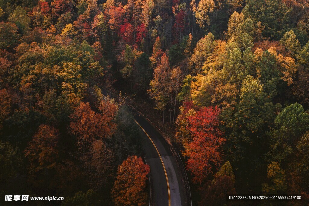 秋日林間蜿蜒公路美景