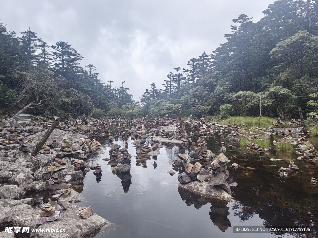 山間溪流    碎石與綠樹相伴