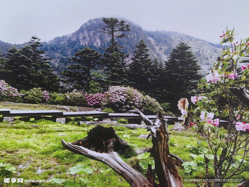 山間草地旁的自行車美景