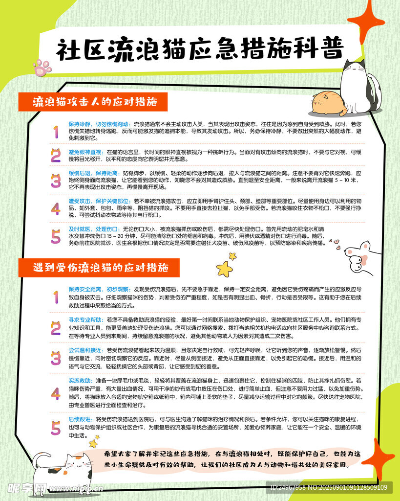 流浪貓應急措施