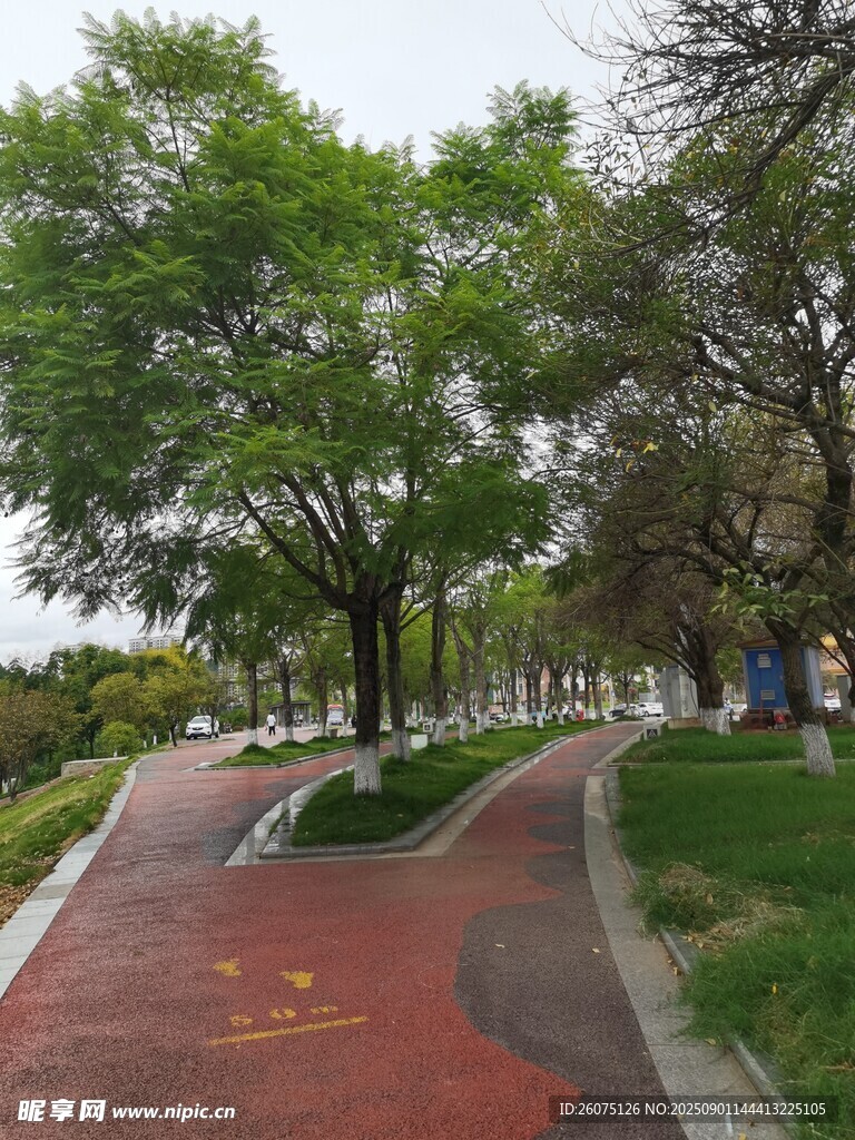 公園中的紅色步道與綠樹
