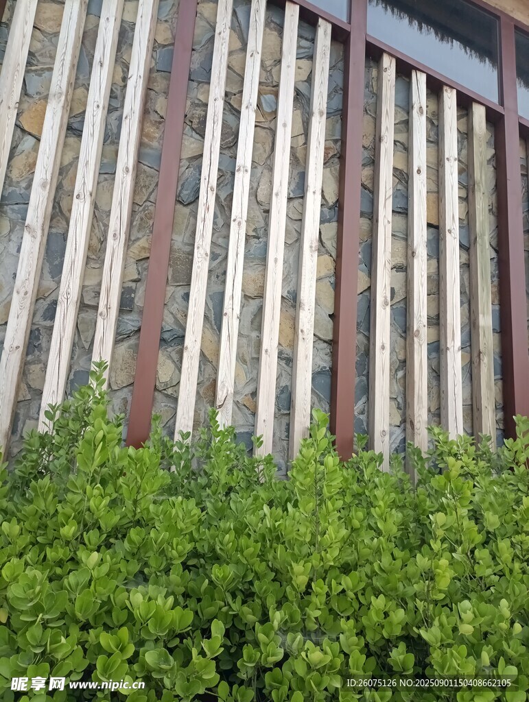 綠植與建筑外墻景觀