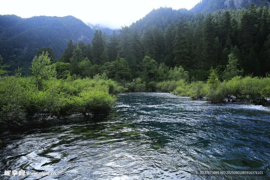 山間溪流 綠意盎然的景致