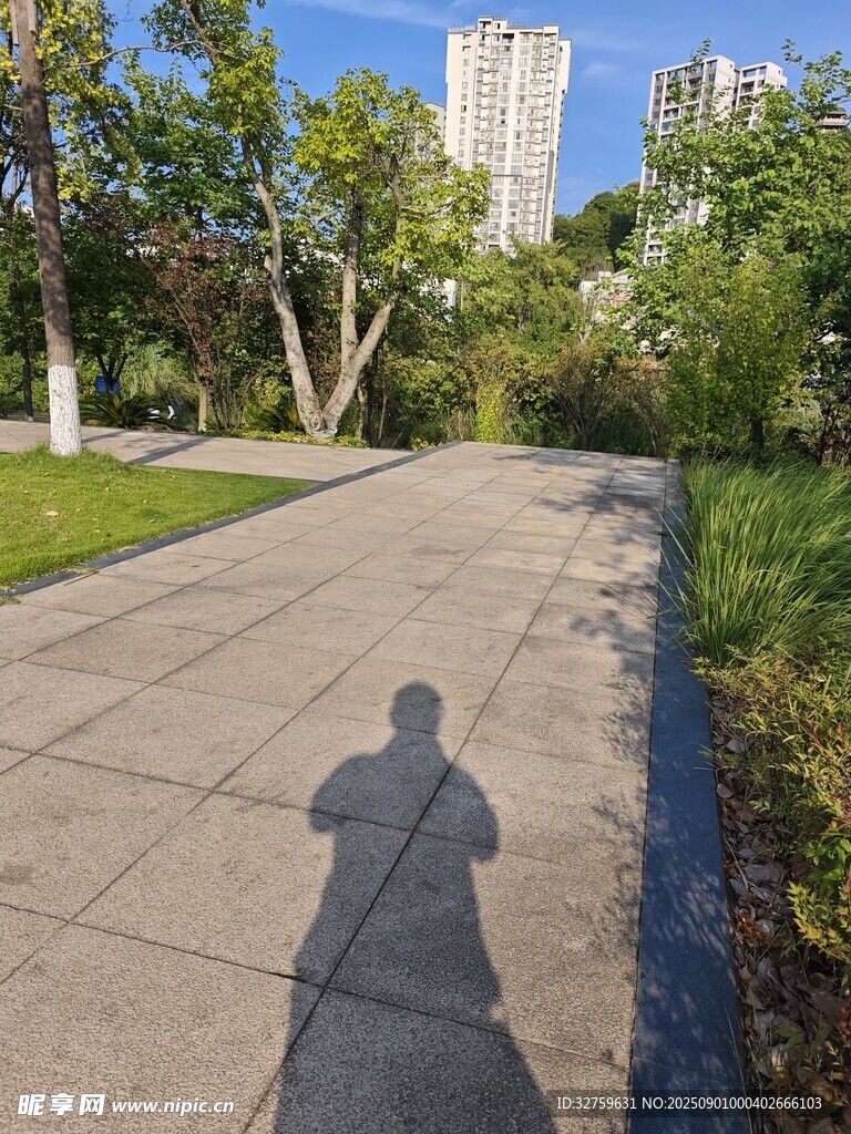 公園中行人的影子