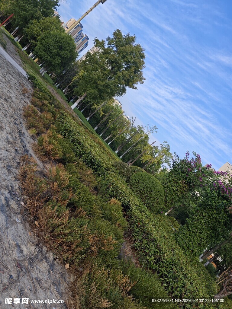 戶外草地與藍(lán)天綠樹景觀