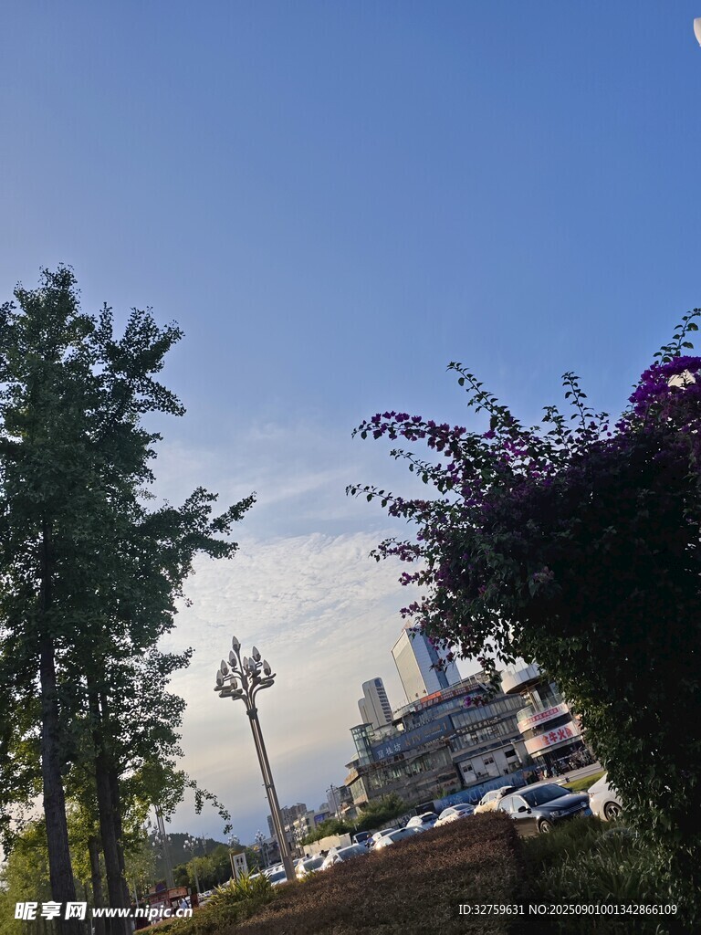 戶外風(fēng)景中的多樣植物
