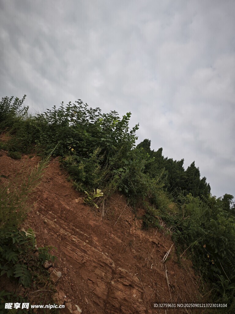 山間植被覆蓋的泥土小徑