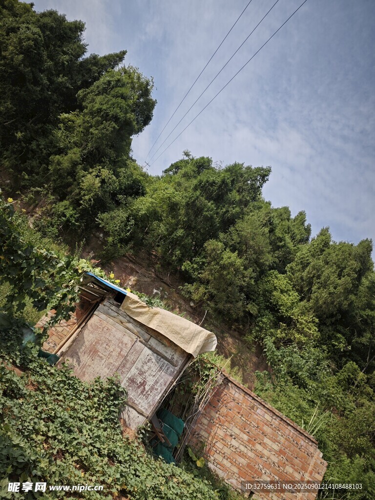 廢棄小屋被綠植環(huán)繞