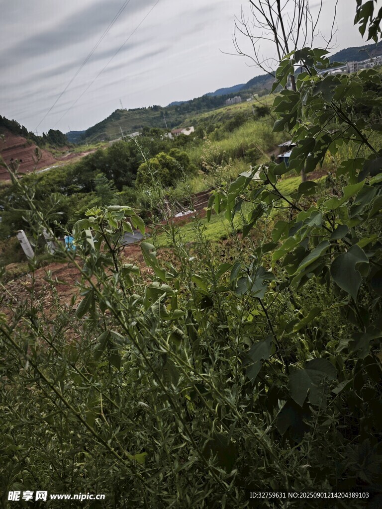 山間綠意盎然的田園風(fēng)光