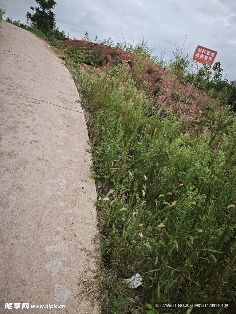 路邊雜草與紅色標牌景觀