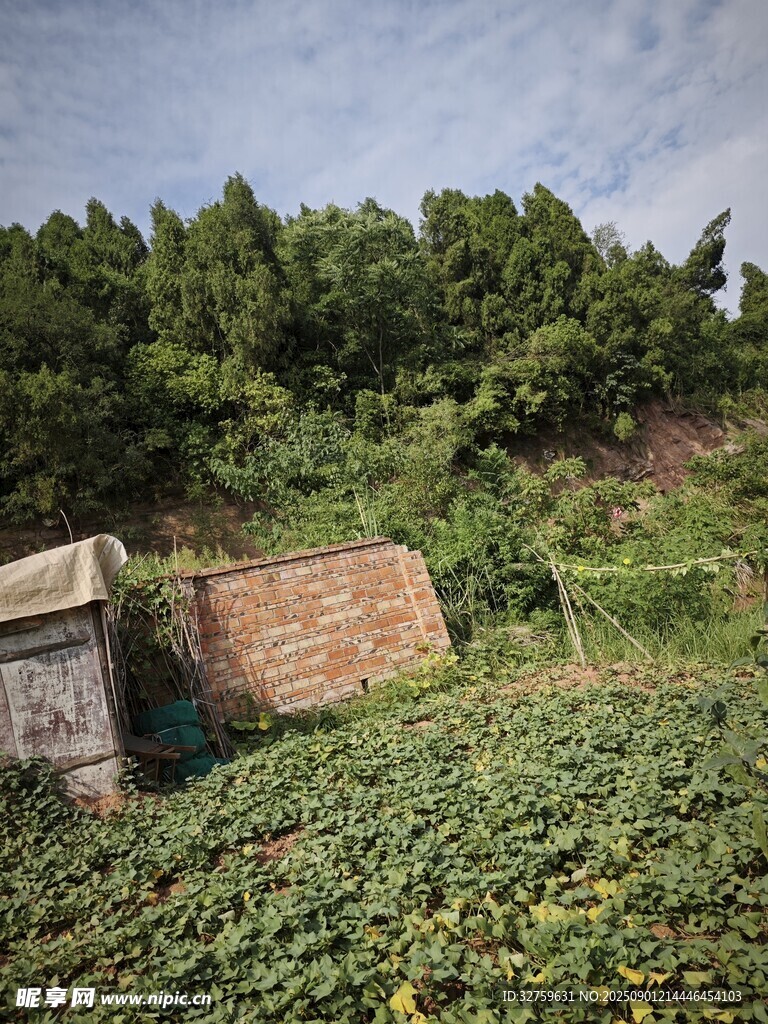 鄉(xiāng)村廢棄角落的自然景象
