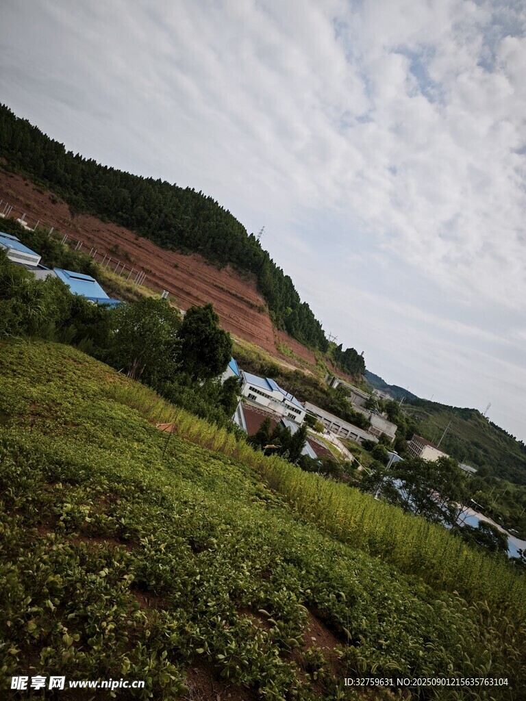 自然好風(fēng)光