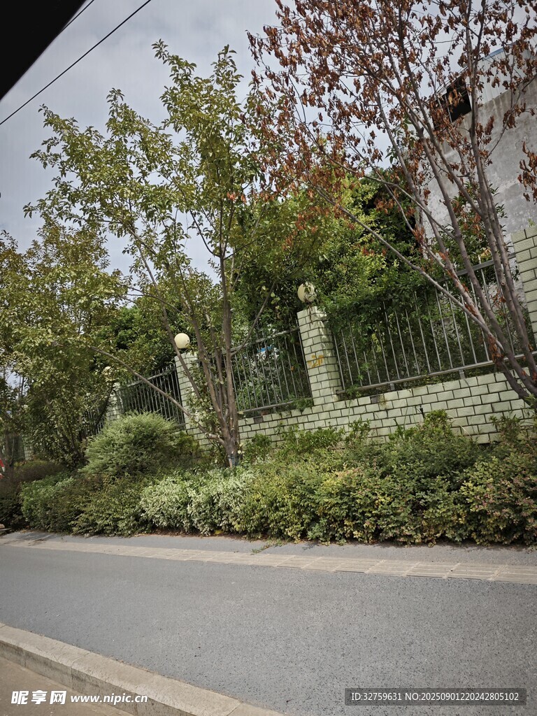 街道旁的綠植與圍欄景觀