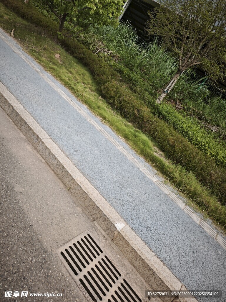 路邊排水口與綠植景觀