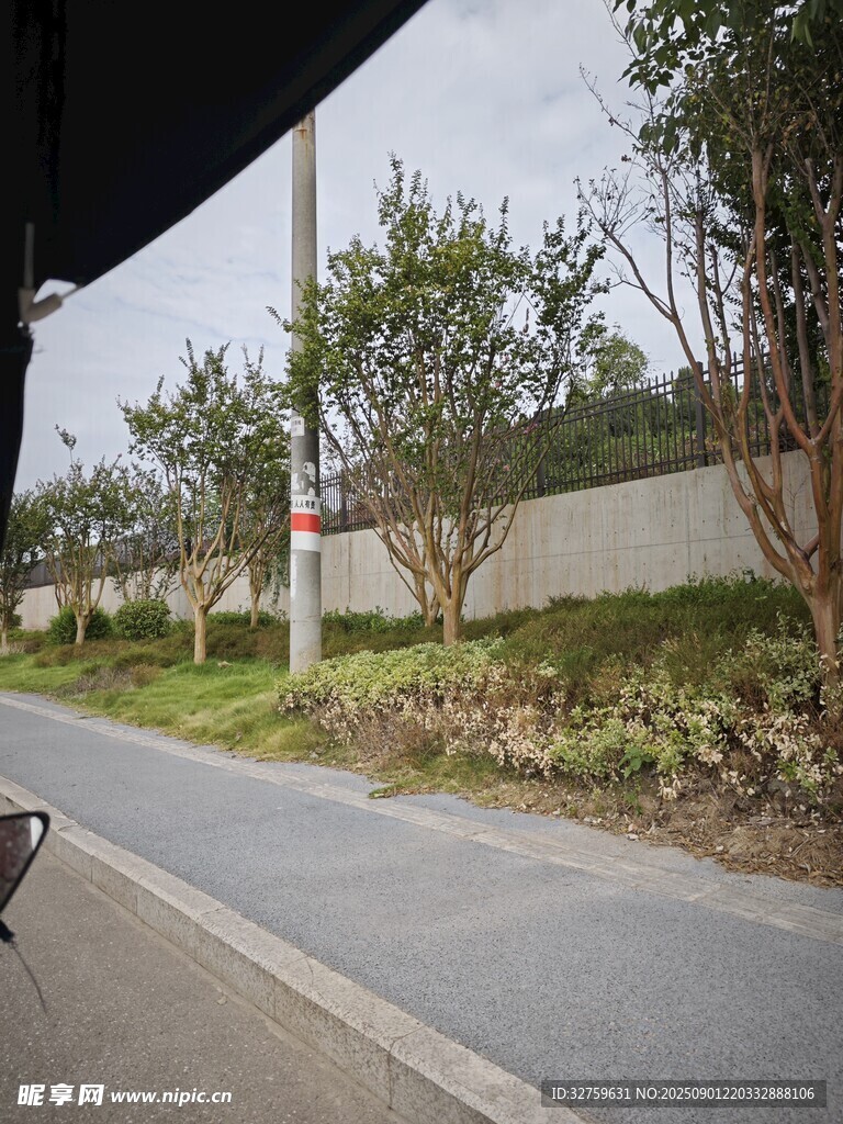 道路旁的綠植景觀