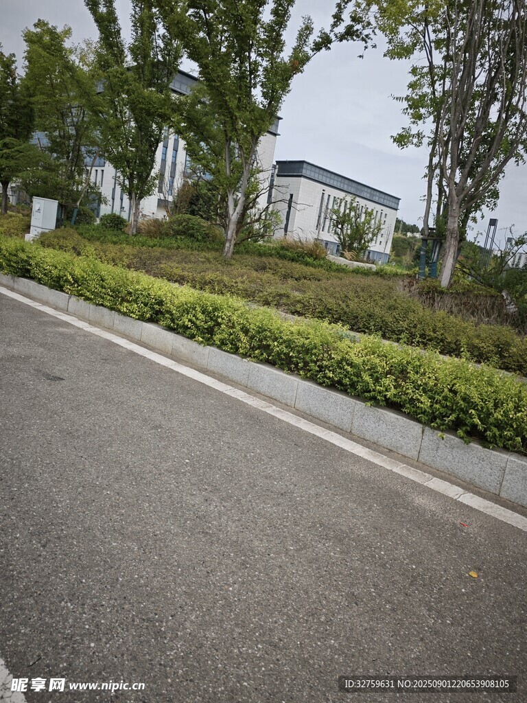 城市道路旁的綠植景觀