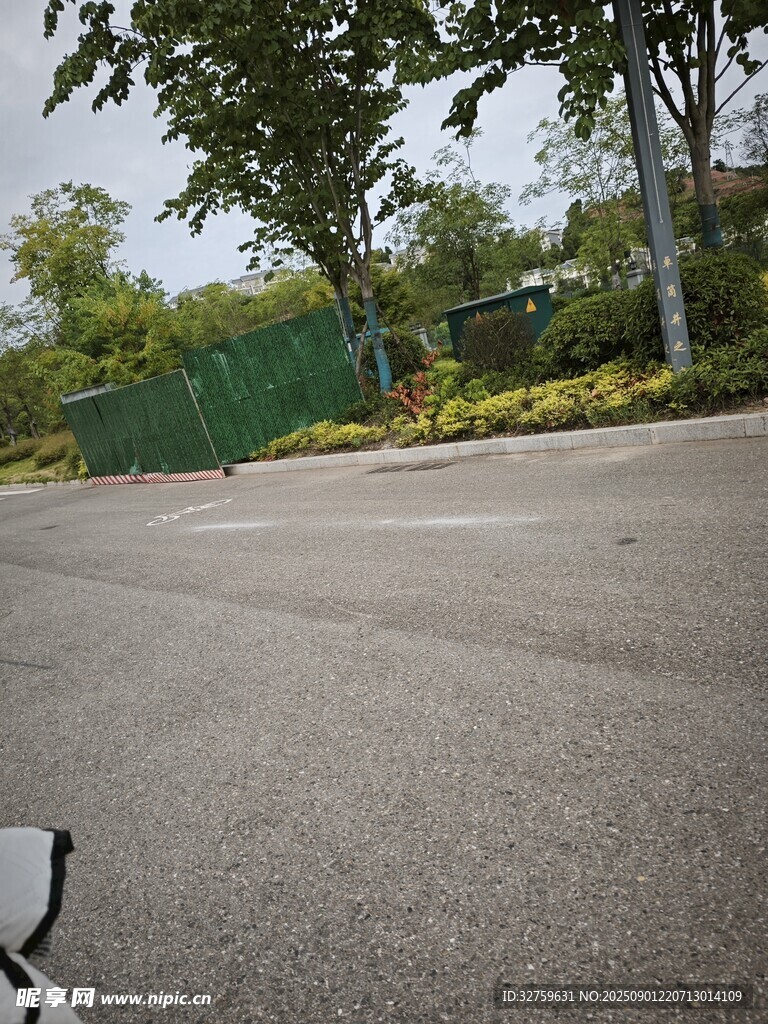 道路旁綠植景觀