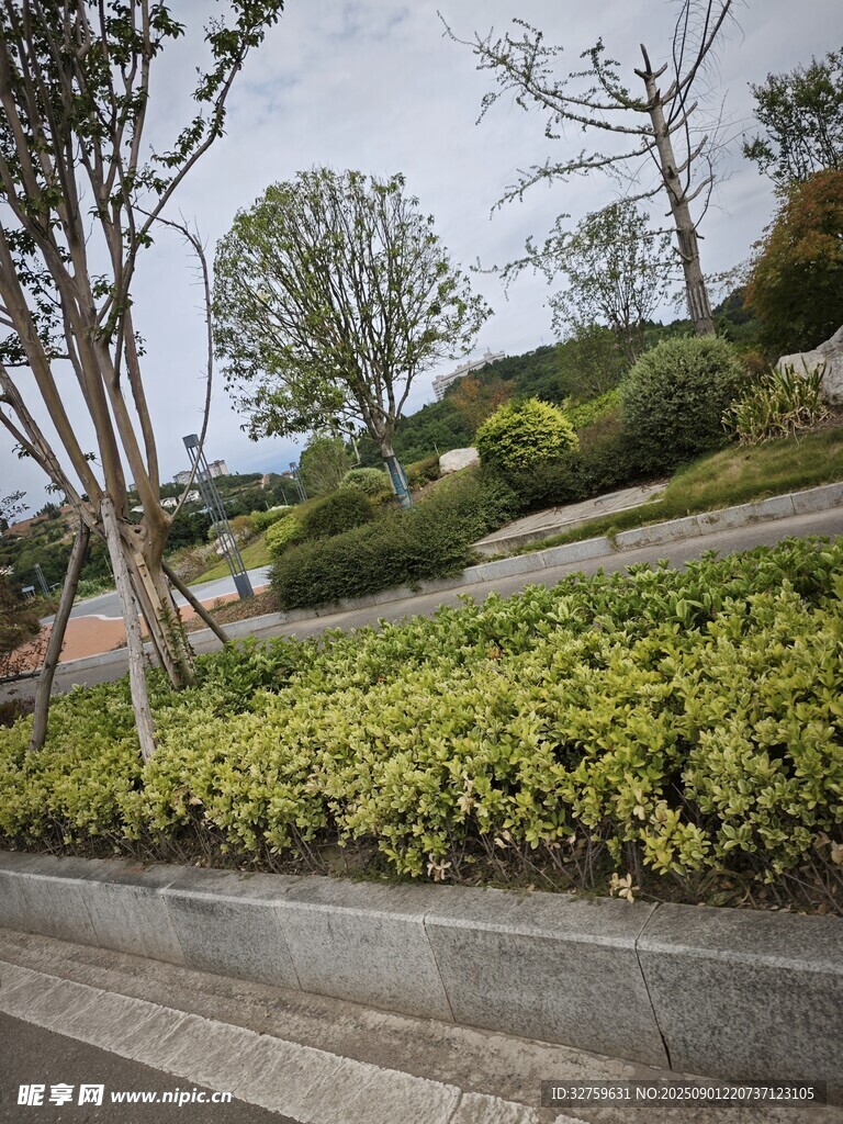 城市路邊綠植景觀