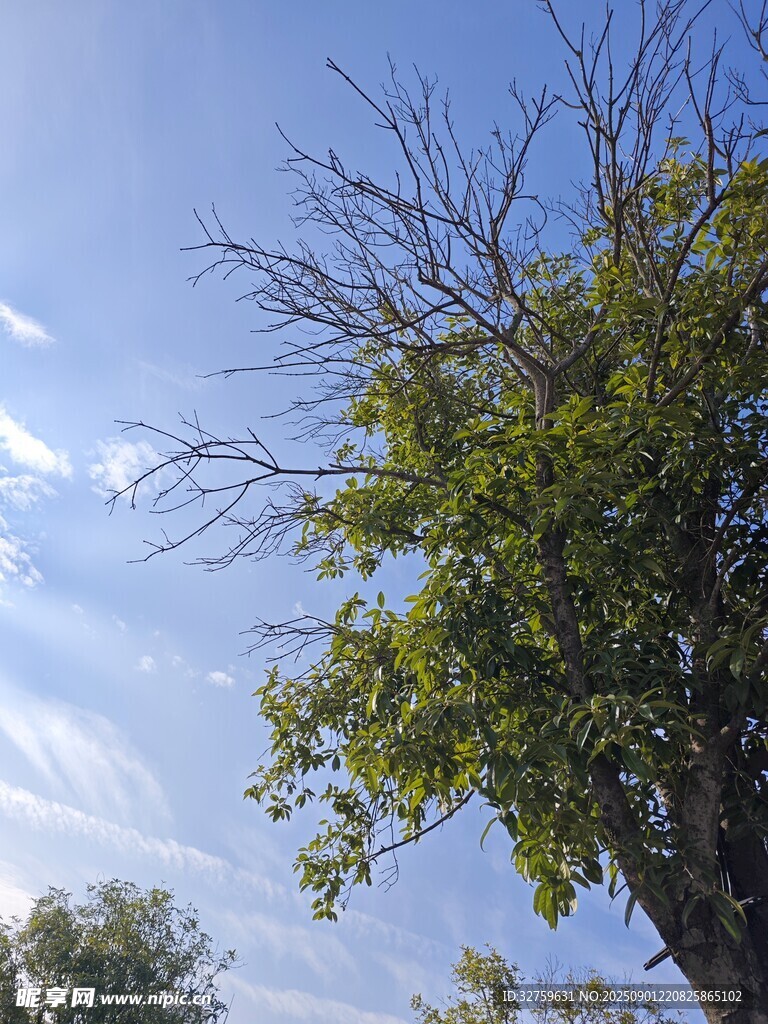 自然清新景致