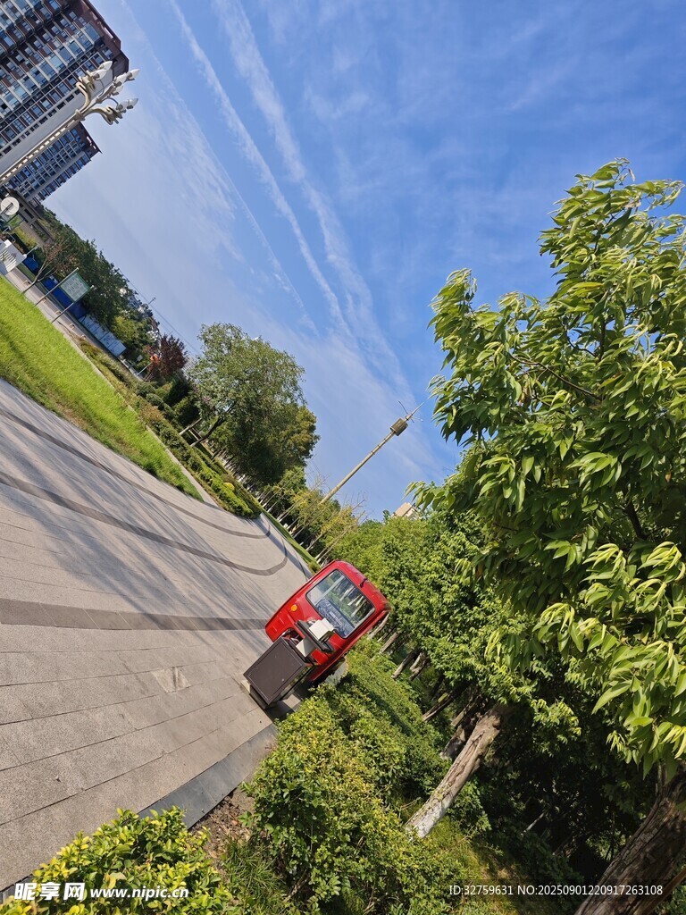 道路旁綠樹間的紅色汽車