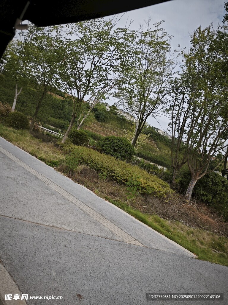 戶外林間水泥路風(fēng)景