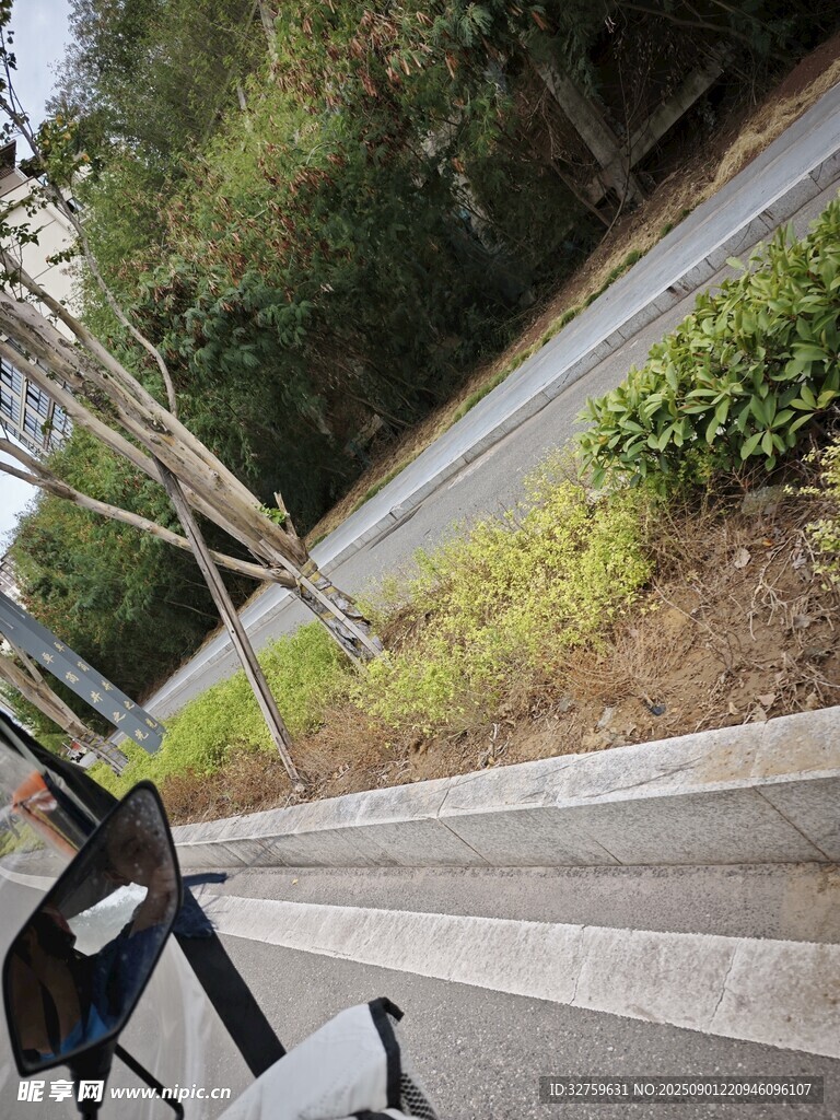 騎行視角下的路邊風(fēng)景