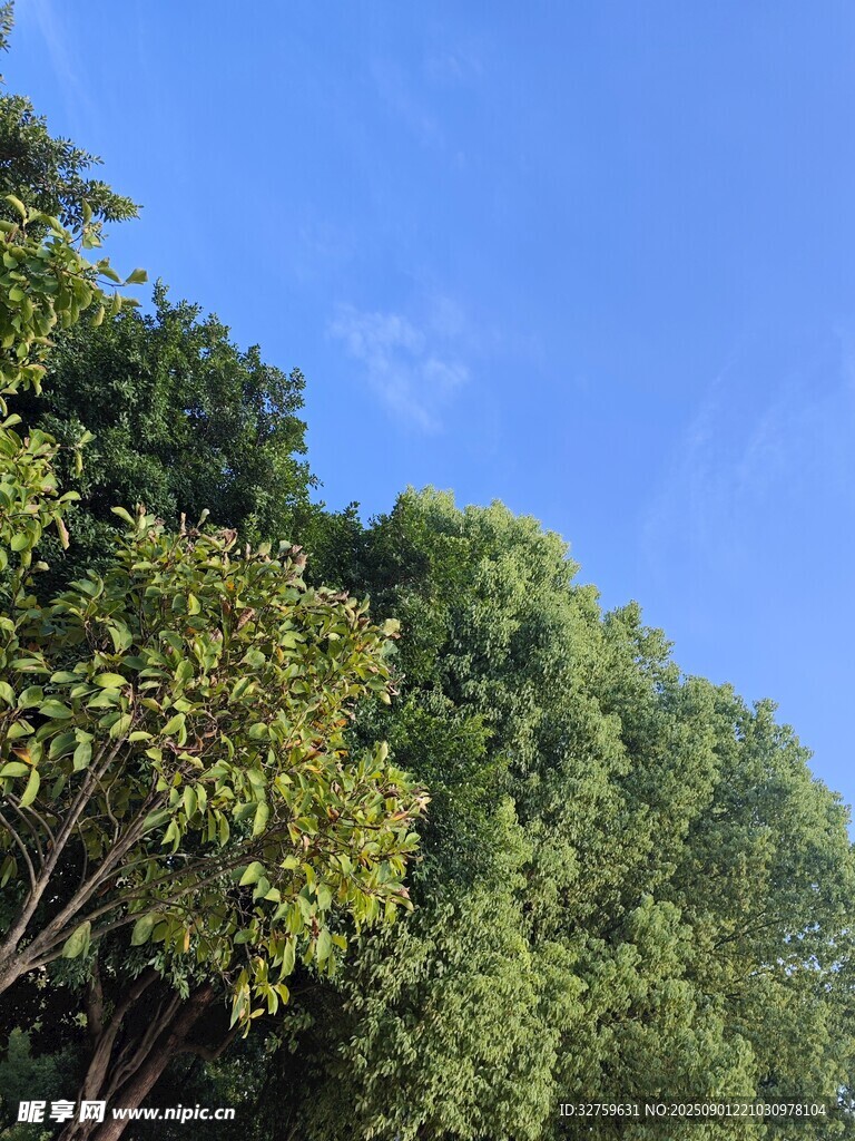 藍(lán)天綠樹風(fēng)景