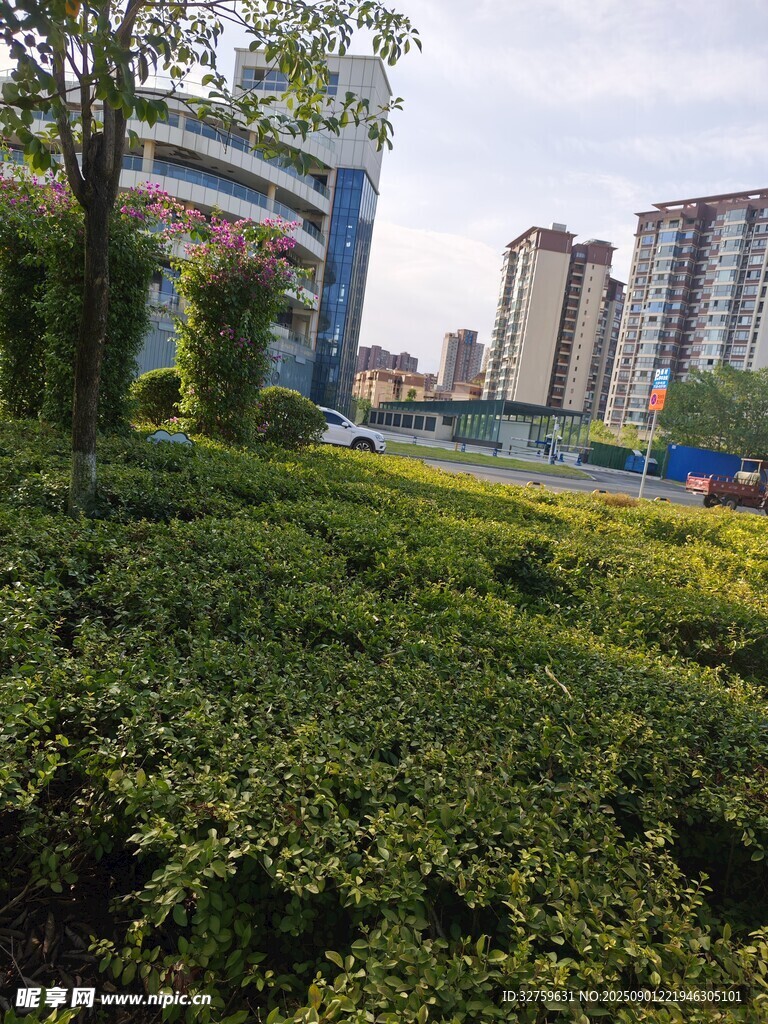 城市中蔥郁的綠植景觀
