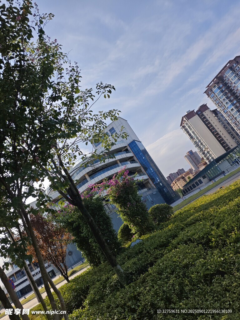 城市綠地旁的現(xiàn)代建筑群