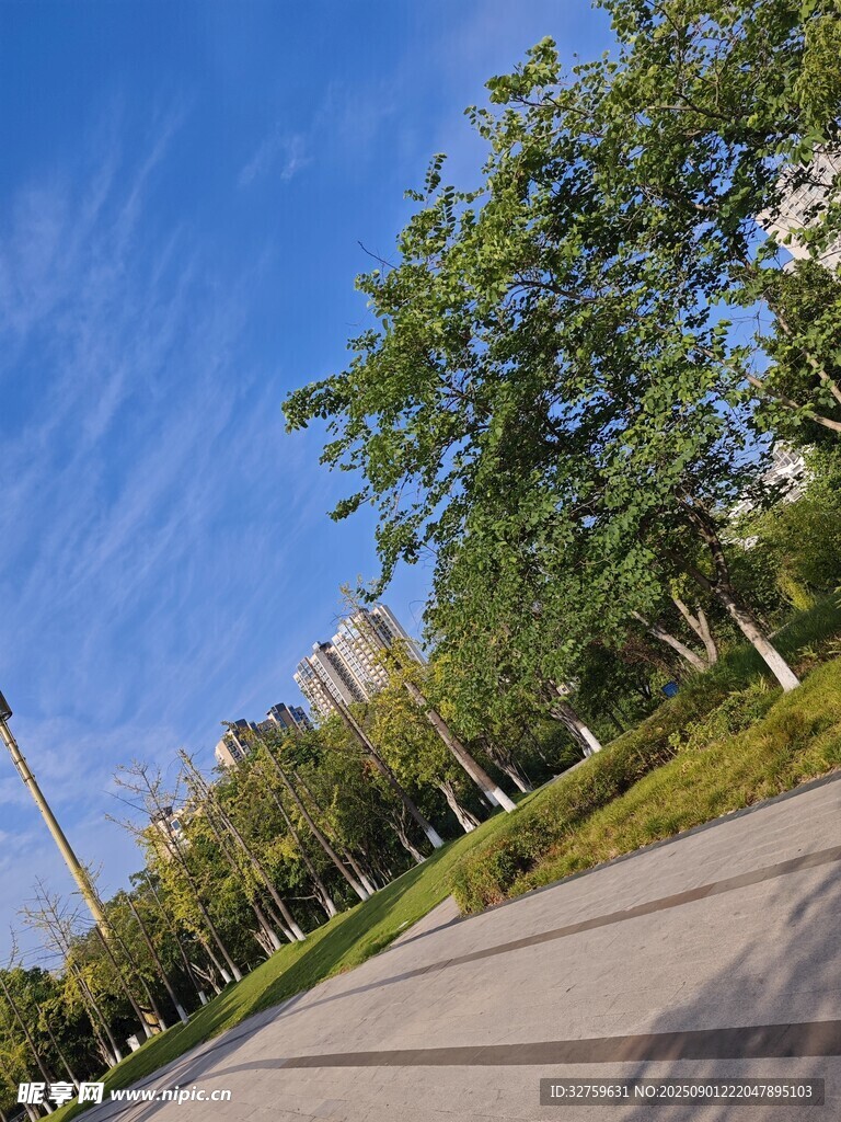 城市林蔭步道美景