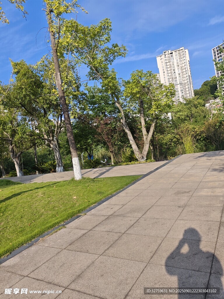 公園步道上的人影與綠樹