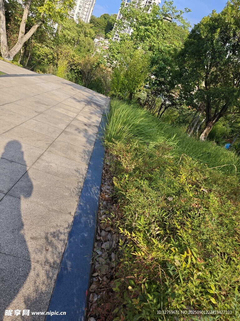 戶外小徑旁的綠意風(fēng)景