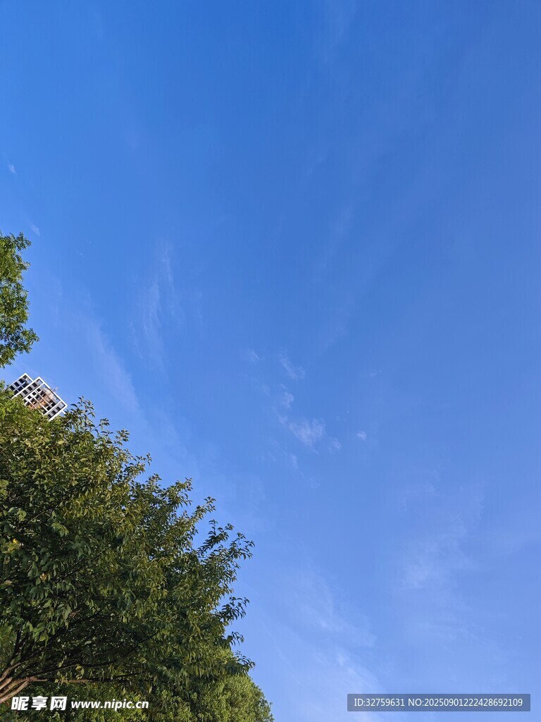 藍(lán)天綠樹的清新景致