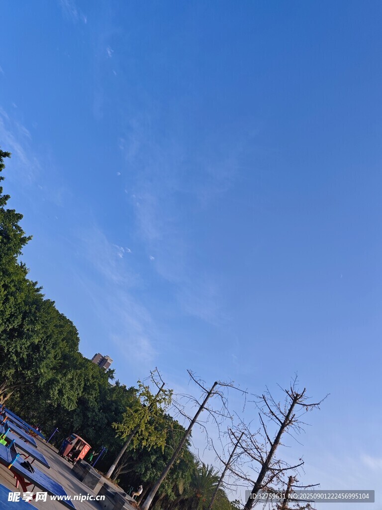 藍(lán)天綠樹間的戶外景象
