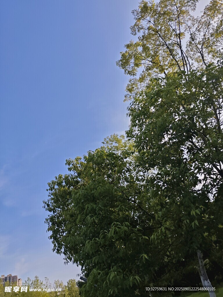 藍(lán)天綠樹(shù)風(fēng)景