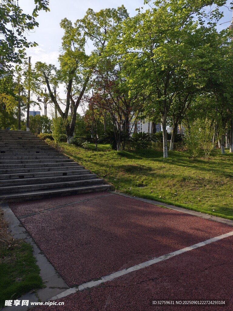 公園中的紅色步道與綠植