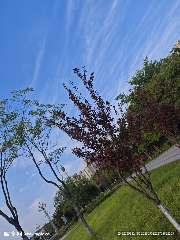 藍(lán)天綠樹(shù)的清新戶(hù)外景致