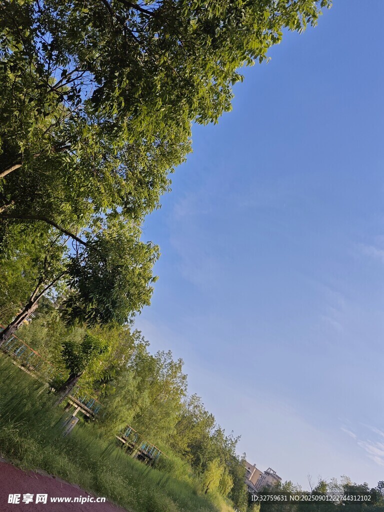 藍(lán)天綠樹好風(fēng)光