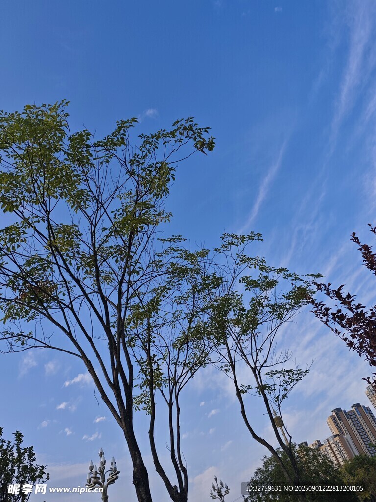 藍(lán)天綠樹風(fēng)景