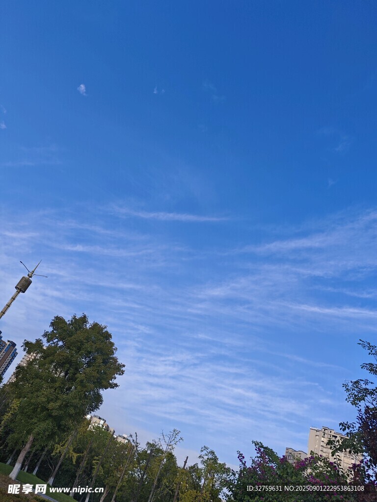 藍(lán)天綠樹間的美麗天際線