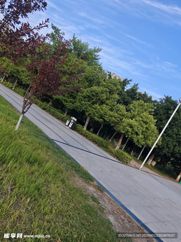清新自然景致