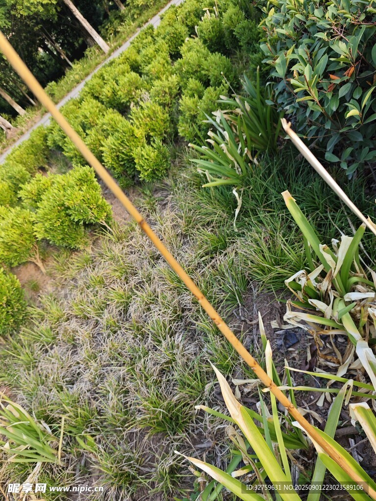 田園綠植景觀