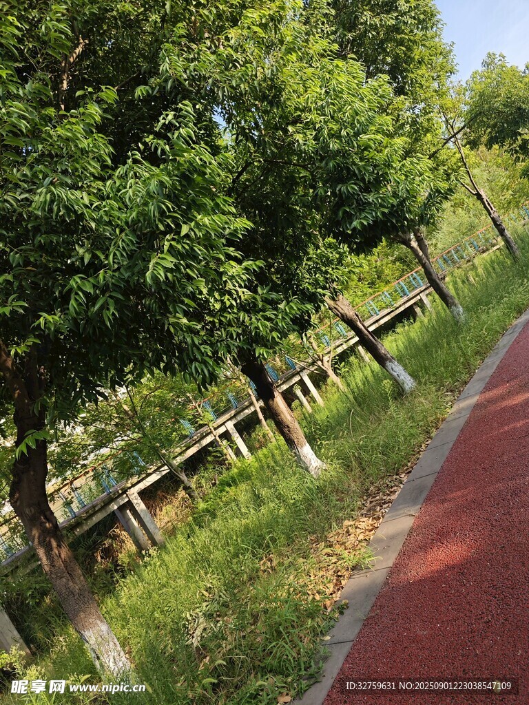 綠意盎然的景致