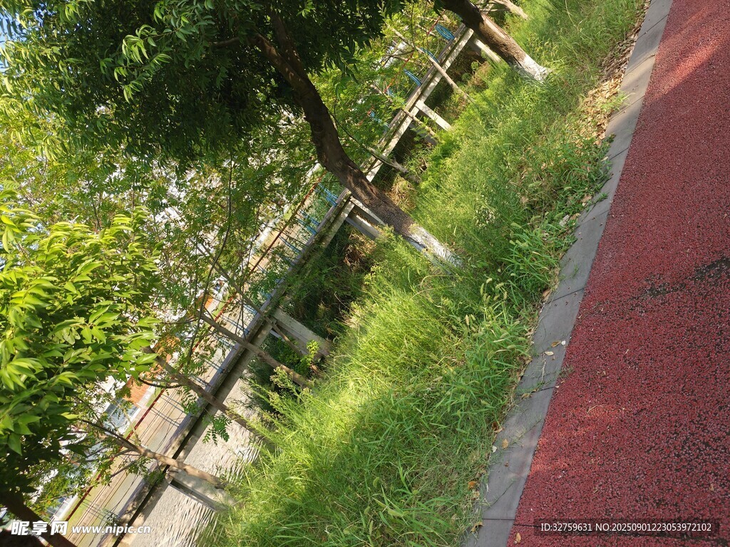公園紅色步道旁的綠植景觀
