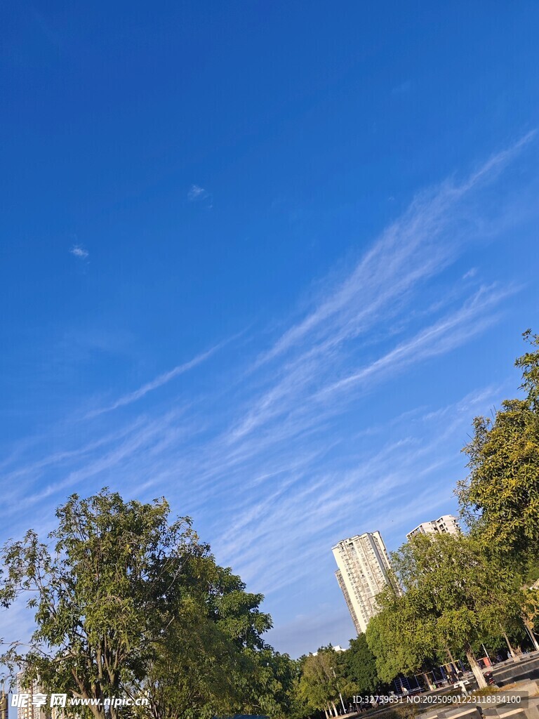 藍天綠樹間的城市景致