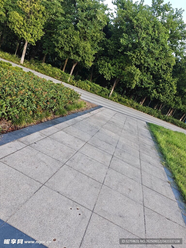 公園中的石板小徑