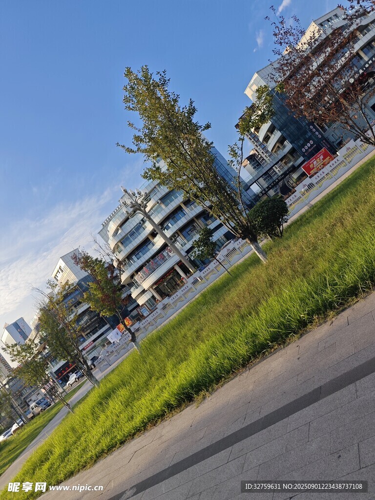 城市街道旁的建筑與綠植