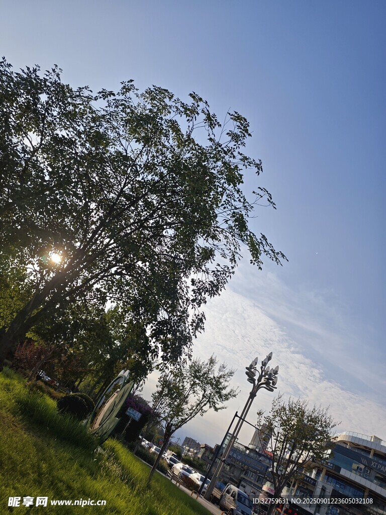 戶外綠樹藍天風景圖