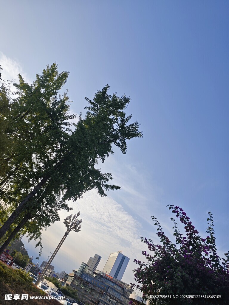 城市藍(lán)天綠樹風(fēng)景